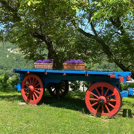 Gospodarstwo agroturystyczne Agriturismo Popolano Di Sotto *
